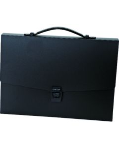 Carrying Bag