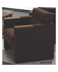 Chair 1อัน