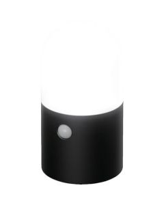 Battery-powered Garden Sensor Light