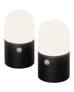 ชุดไฟเซ็นเซอร์สวน LED แบบใช้แบตเตอรี่ ทรงกลม สีดำ (2 ชิ้น)