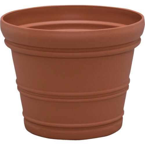 a flower pot 1อัน