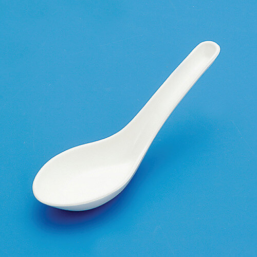 Spoon 10อัน