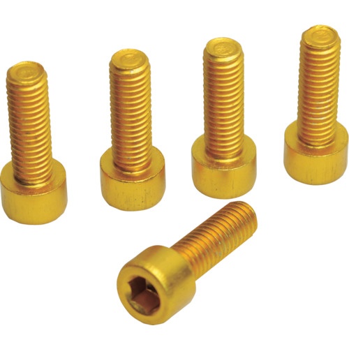 น็อตยึดขวดน้ำ 5 ชิ้น สีทอง (แพ็คละ 5 ชิ้น)