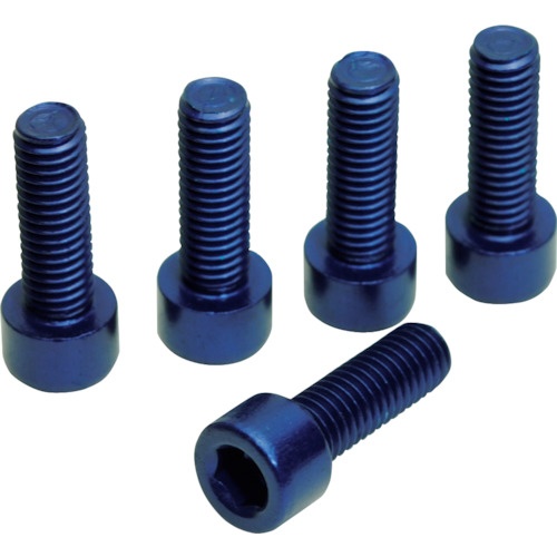 น็อตยึดที่วางขวดน้ำ 5 ชิ้น สีฟ้า (แพ็คละ 5 ชิ้น)