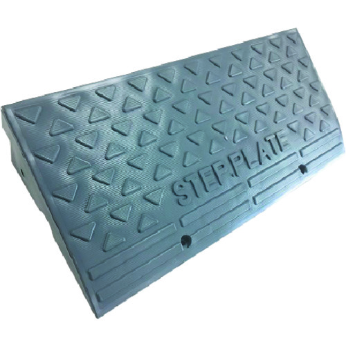 ตัวเรือนแผ่นเหยียบ (SP-10G)