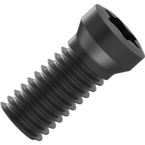 ชิ้นส่วน