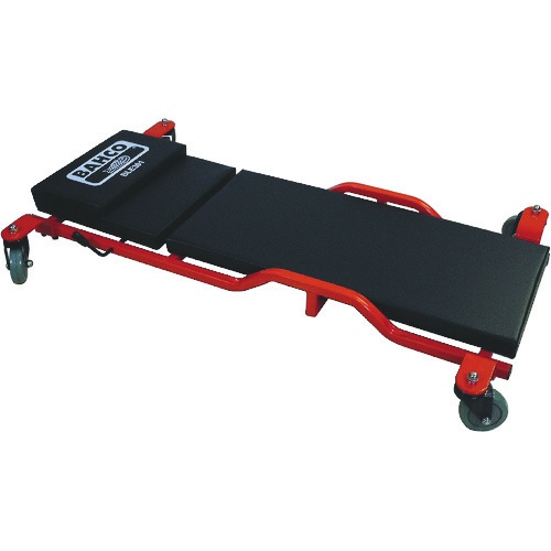 ไม้เลื้อยพื้นต่ำ