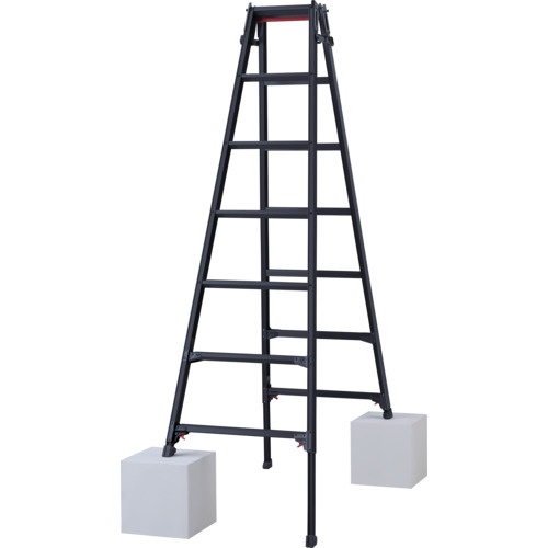 บันไดพับได้ (ฉลากสีดำ) RYZB-21a (10912)