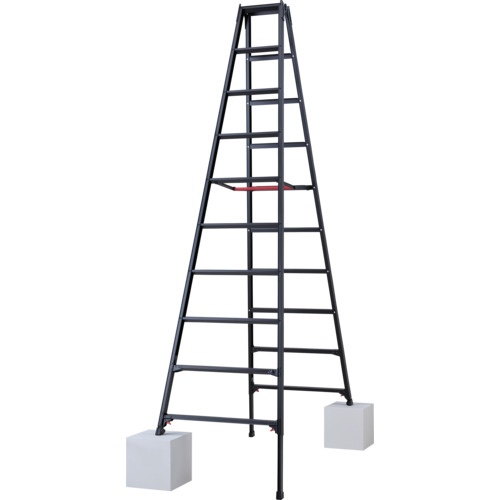 บันไดพับได้แบบยืดหดได้ (ฉลากสีดำ) RYZB-30a (10915)