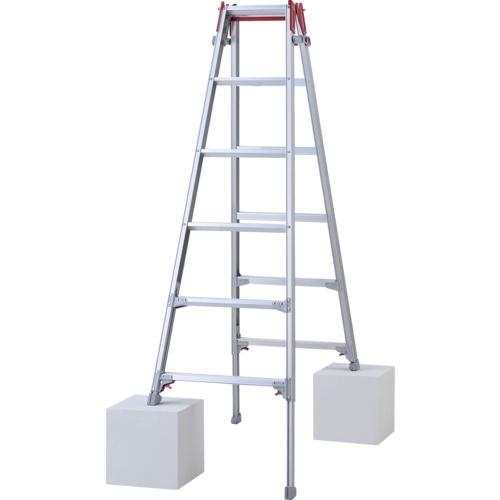 บันไดอลูมิเนียมแบบยืดหดได้พร้อมราวจับแบบกดครั้งเดียว รุ่น RYZ 6 ขั้น (10888)