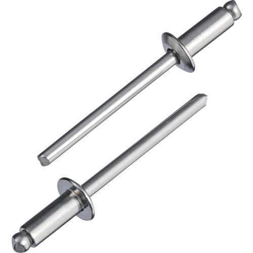 หมุดย้ำแบบซ่อน (สแตนเลส/สแตนเลส) 4-8 (1000 ชิ้น) บรรจุกล่อง