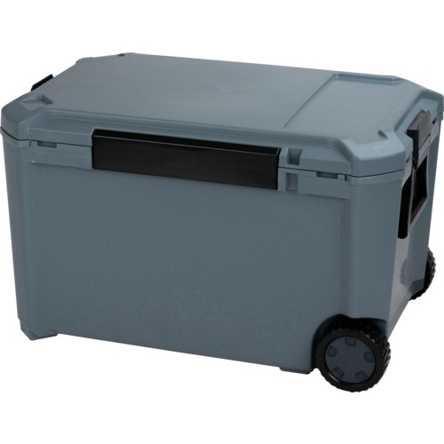 กล่องเก็บความเย็น Coreflux #65 CF-65IG