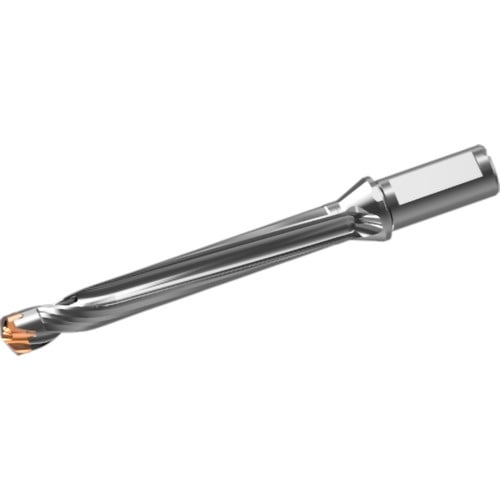 หัวสว่านคาร์ไบด์แบบถอดเปลี่ยนได้ DXAS holder d20 x L/D 8