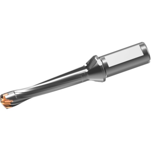 หัวดอกสว่านคาร์ไบด์แบบถอดเปลี่ยนได้ DXAS holder d18 x L/D 5