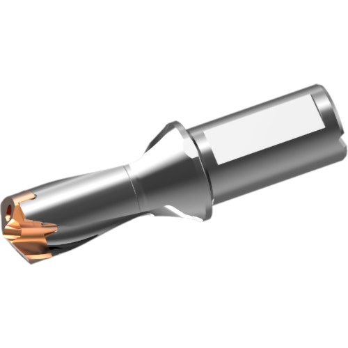 ดอกสว่านคาร์ไบด์แบบถอดเปลี่ยนได้ DXAS holder d29 x L/D 1.5