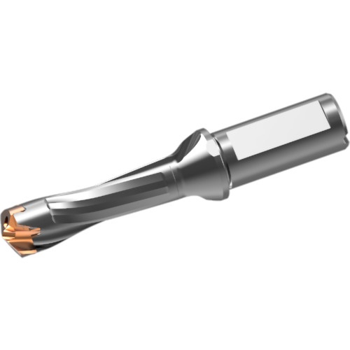 หัวสว่านคาร์ไบด์แบบถอดเปลี่ยนได้ DXAS holder d22 x L/D 3