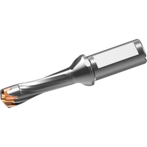 หัวสว่านคาร์ไบด์แบบถอดเปลี่ยนได้ DXAS holder d20 x L/D 3