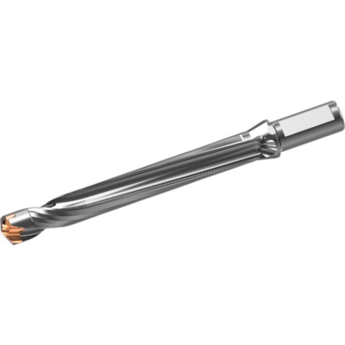 ดอกสว่านคาร์ไบด์แบบถอดเปลี่ยนหัวได้ DXAS holder d25 x L/D 8