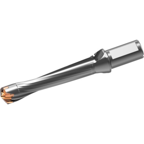 หัวสว่านคาร์ไบด์แบบถอดเปลี่ยนได้ DXAS holder d30 x L/D 5