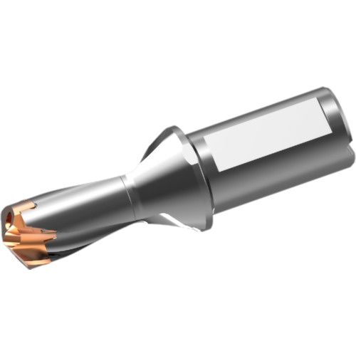 ดอกสว่านคาร์ไบด์แบบถอดเปลี่ยนได้ DXAS holder d26 x L/D 1.5