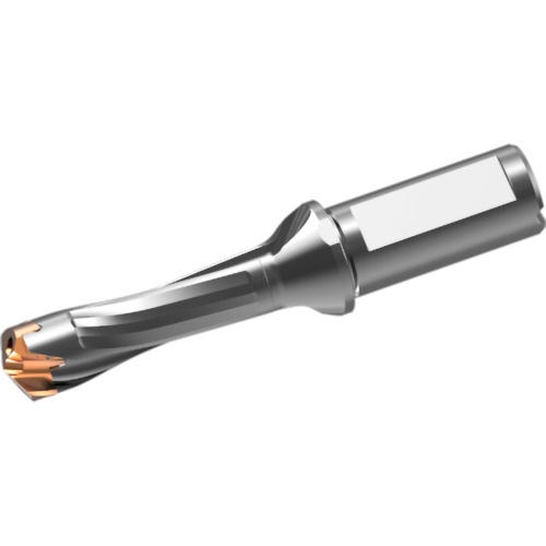 หัวสว่านคาร์ไบด์แบบถอดเปลี่ยนได้ DXAS holder d21 x L/D 3