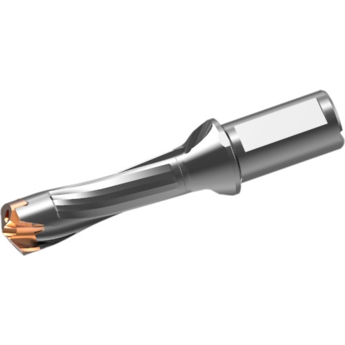 ดอกสว่านคาร์ไบด์แบบถอดเปลี่ยนได้ DXAS holder d29 x L/D 3