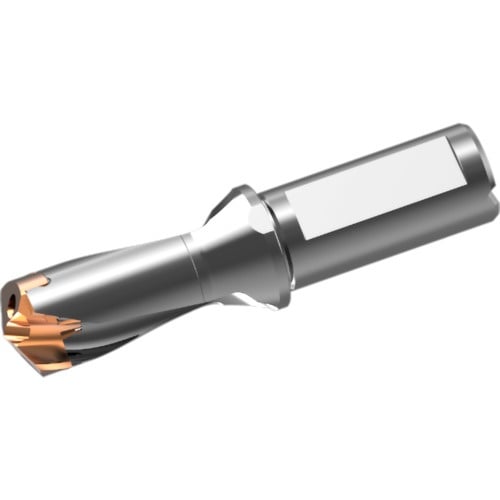 หัวดอกสว่านคาร์ไบด์แบบถอดเปลี่ยนได้ DXAS holder d25 x L/D 1.5