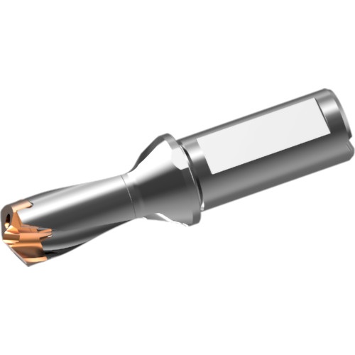 ดอกสว่านคาร์ไบด์แบบถอดเปลี่ยนหัวได้, ตัวยึด DXAS, d22 x L/D 1.5