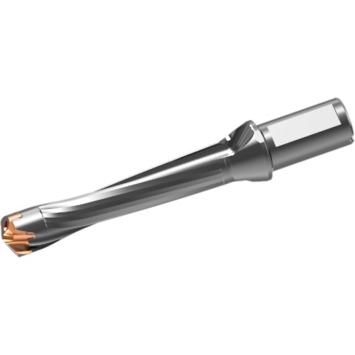 หัวสว่านคาร์ไบด์แบบถอดเปลี่ยนได้ DXAS holder d29 x L/D 5