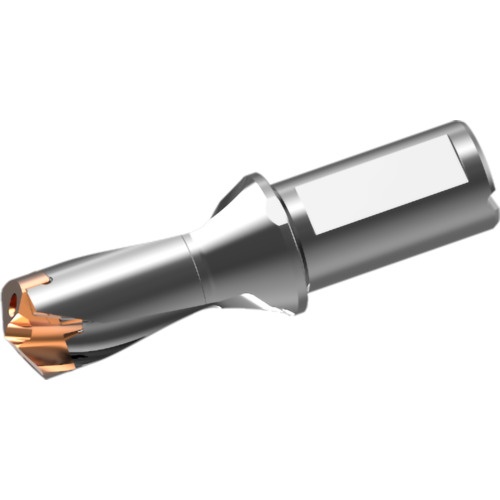 หัวดอกสว่านคาร์ไบด์แบบถอดเปลี่ยนได้ DXAS holder d30 x L/D 1.5