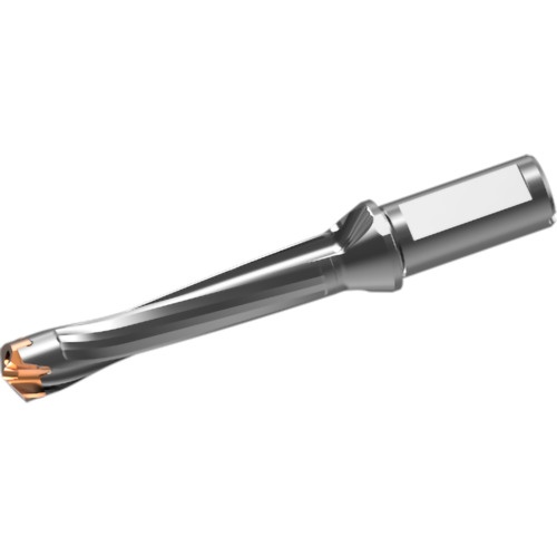 หัวสว่านคาร์ไบด์แบบถอดเปลี่ยนได้ DXAS holder d21 x L/D 5