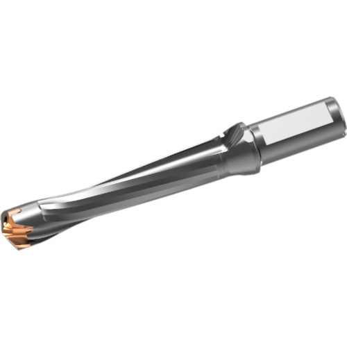 หัวสว่านคาร์ไบด์แบบถอดเปลี่ยนได้ DXAS holder d25 x L/D 5