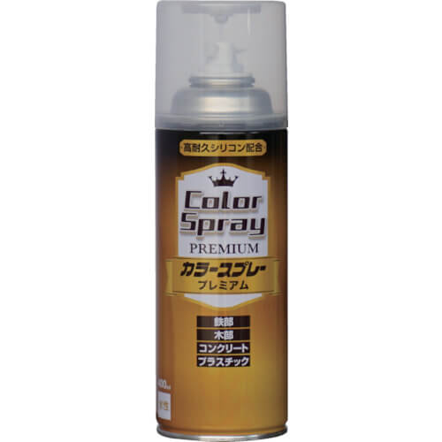 Color Spray Premium 1เส้น