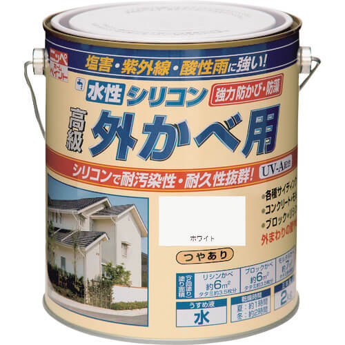 Water-based Silicon Outer Wall Paint 1ใบ