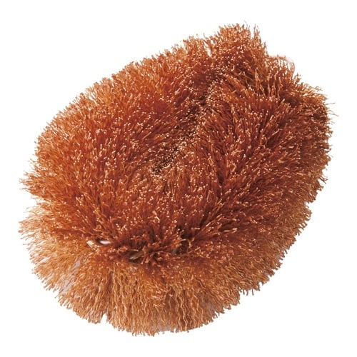 Metalon Prince L เครื่องขัดพื้นแอนตี้แบคทีเรีย