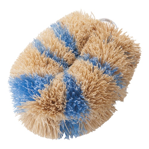 เครื่องขัดพื้น Shimashima Mini Mini N สีฟ้า