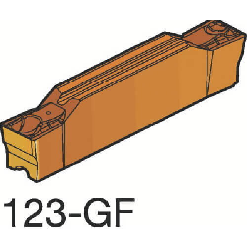 N123E202000004GF