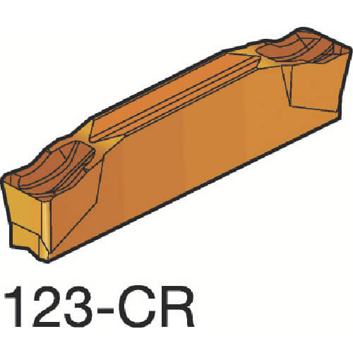 N123G103000003CR