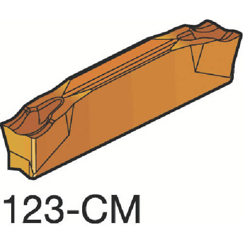 N123G203000002CM