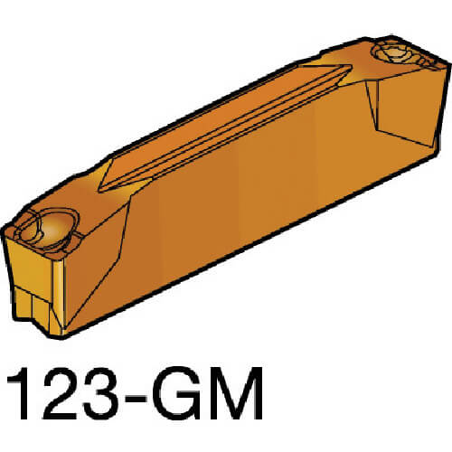 N123J205000004GM