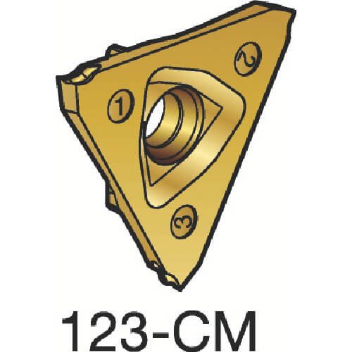 N123T301500001CM