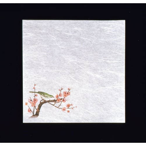 กระดาษเขียนเปียก ใหม่ (100 แผ่น) พลัม