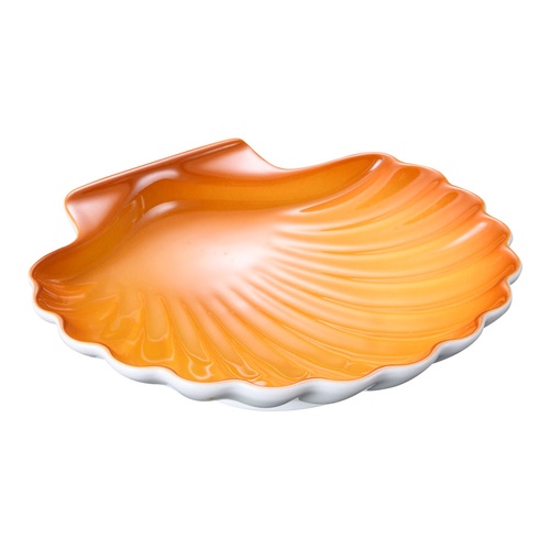 หอยเชลล์ Schoenwald สีน้ำตาล