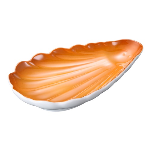 หอยเชลล์ Schoenwald สีน้ำตาล