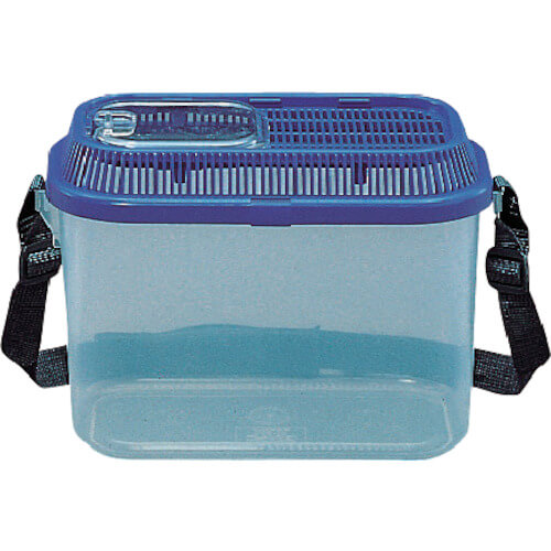 Insect Case 1อัน