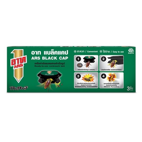 อาท แบล็คแคป แบรนด์ EARTH