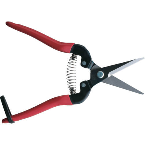 Need Lenose Fruit Clipper