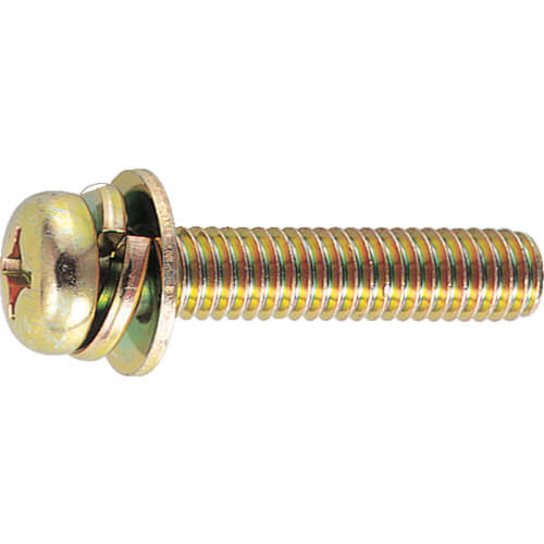Pan Head Screw with Captive Washer (steel, with round washer)