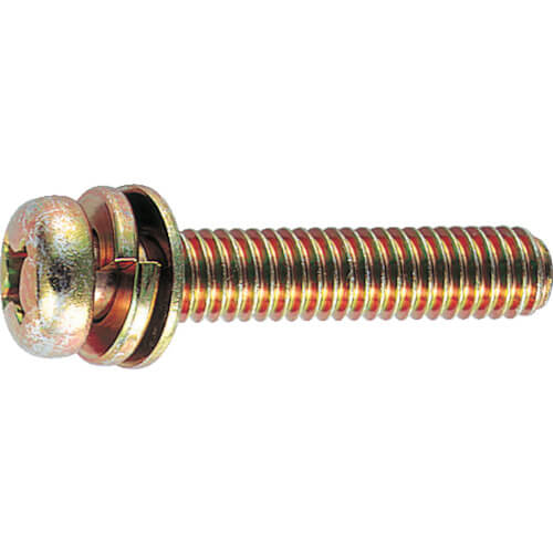 Pan Head Screw with Captive Washer (steel, with small round washer)