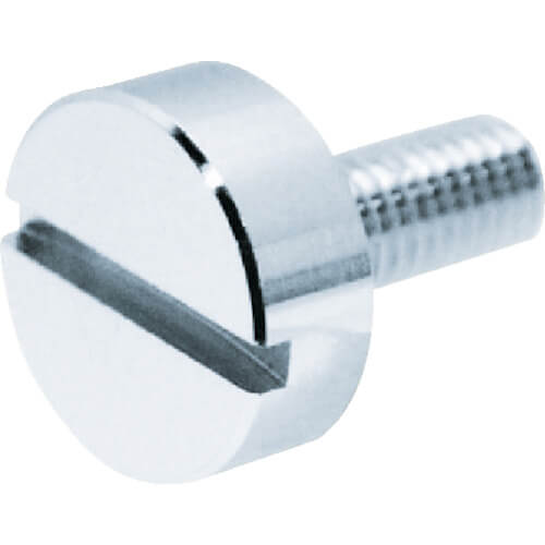 Decorative Cheese Head Screw Slotted Brass